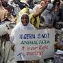Why Did the Western Left Ignore Occupy Nigeria?