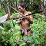 ‘Indigenous people’ to map Indonesian forests