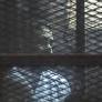 Egypt announces pardon for top activist who's spent 6 years behind bars