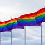 The Human Rights Campaign and the Human Rights Campaign Foundation…
