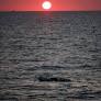 At least 42 migrants presumed dead after boat capsizes off Libyan coast, UN says