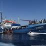 Italy impounds German NGO migrant rescue ship