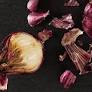 Is Tor Trustworthy and Safe?