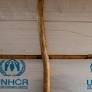Opinion | I’ve Been the U.N. High Commissioner for Refugees for a Decade. This Is the Crisis I See.