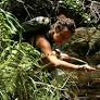 Release of Niloufar Bayani and Other Environmental Conservationists Detained in Iran