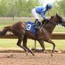GoFundMe set up for injured jockey Jacky Davis