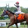 GoFundMe Organized For Injured Jockey Jacky Davis