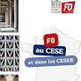 FO au CESE et dans les CESER (1er semestre 2025)