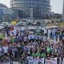 EU farm group to hold 'flash action' over future of CAP