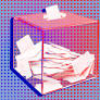 Paris mayoral election: Who's running?