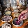HISTORIC VICTORY: Kenyan Court Rules “Sharing Seeds is Not a Crime” in Landmark Verdict for Food Sovereignty