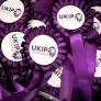 YouTuber accused of triggering rape threats could stand for Ukip