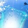 Philippines Rejects Chinese Scarborough Shoal Nature Reserve Claim