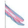 5 Ways Countries Can Promote Transgender Rights as Human Rights