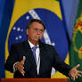Brazil’s True Believers: Bolsonaro and the Risks of an Election Year