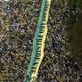 Democracy in Brazil
