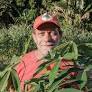 Landless Workers Fight for Fair Food