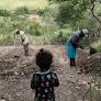 The growing political clout of landless farmworkers in Brazil