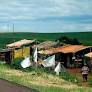 Brazil’s MST Pays Tribute to Landless Workers Killed by Police in 1996
