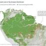 Deforestation of Brazil’s Amazon Has Reached a Record High. What’s Being Done?