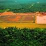 Deforestation in Colombia: An Intricate Story of Conflict and Power