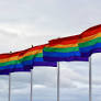 Russia urged to release detained publishing workers amid LGBTQ+ crackdown