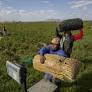 Tensions Rise in the Rio Grande Basin as Mexico Lags in Water Deliveries to the U.S.
