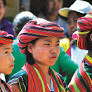 Indigenous Peoples Overview