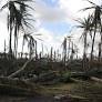 Inclusive data on disaster displacement must include indigenous people