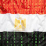The Muslim Brotherhood’s Influence Campaign in Egypt