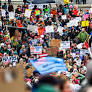 How Democracies Defend Themselves Against Authoritarianism