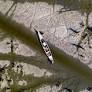 Iraq’s water crisis: Dammed by neighbours, failed by leaders