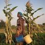 Climate change and displacement