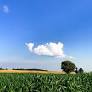 Why are EU Farmers Protesting?