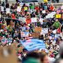 How Democracies Defend Themselves Against Authoritarianism