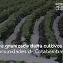 Apurímac: Intensa granizada daña cultivos y viviendas en comunidades de Cotabambas