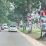 Felling of trees along the Atomic-Kwabenya highway must cease immediately — A Rocha Ghana