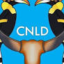 Why did the CNLD lose again?