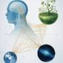 Los Alamos Faith And Science Forum Presents ‘One Song: The Science of Oneness’ Feb. 18