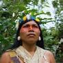 Nemonte Nenquimo: Defender of the Amazon and Indigenous Rights