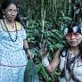 This is my message to the western world – your civilisation is killing life on Earth | Nemonte Nenquimo