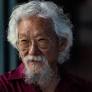 ‘It’s too late’: David Suzuki says the fight against climate change is lost