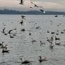 The power of awe: How nature can transform our perspective