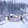 Wet’suwet’en Strong: The Ongoing Fight for Indigenous Sovereignty on Wet’suwet’en Land