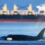 More bad news for B.C.’s climate goals, as yet another LNG project is approved