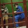 Russia: Decision to deport journalist to Uzbekistan puts him at risk of persecution and torture