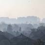 Poland ordered to pay compensation for air pollution violating resident’s rights