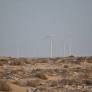 TAQA-Moeve obtains land in occupied Western Sahara