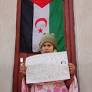 EU-Morocco Statement: autonomy without self-determination, law without lawfulness