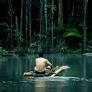 Film: Epic clash over Amazon is a gripping real-life drama